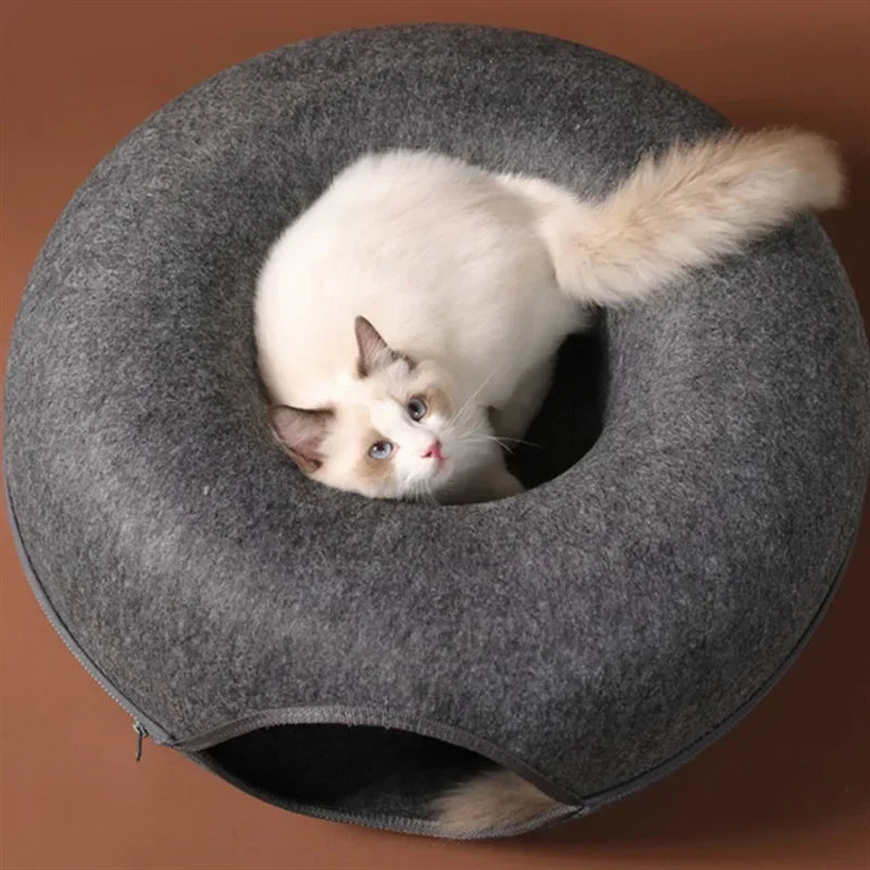 Donut Cat Tunnel/House