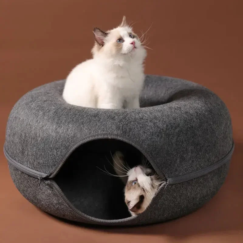 Donut Cat Tunnel/House